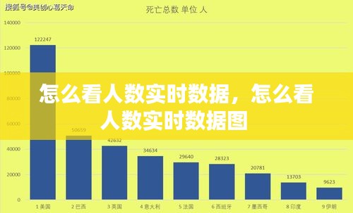 怎么看人数实时数据,怎么看人数实时数据图