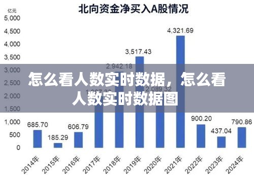 怎么看人数实时数据,怎么看人数实时数据图