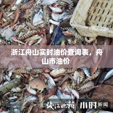 浙江舟山实时油价查询表,舟山市油价