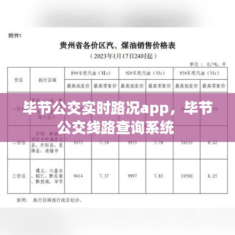 毕节公交实时路况app,毕节公交线路查询系统