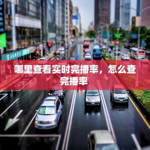 哪里查看实时完播率,怎么查完播率