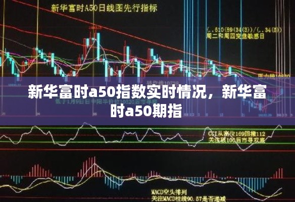新华富时a50指数实时情况,新华富时a50期指