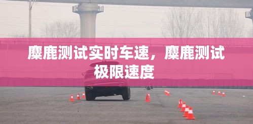 麋鹿测试实时车速,麋鹿测试极限速度