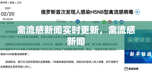 禽流感新闻实时更新,禽流感 新闻