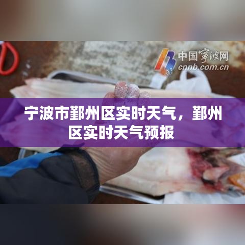 宁波市鄞州区实时天气,鄞州区实时天气预报