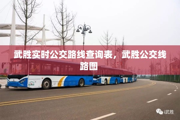 武胜实时公交路线查询表,武胜公交线路图