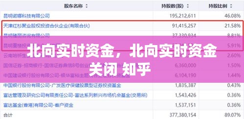 北向实时资金,北向实时资金关闭 知乎