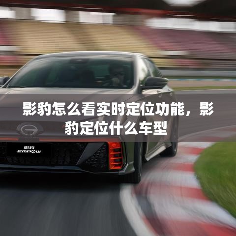影豹怎么看实时定位功能,影豹定位什么车型
