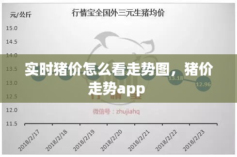 实时猪价怎么看走势图,猪价走势app
