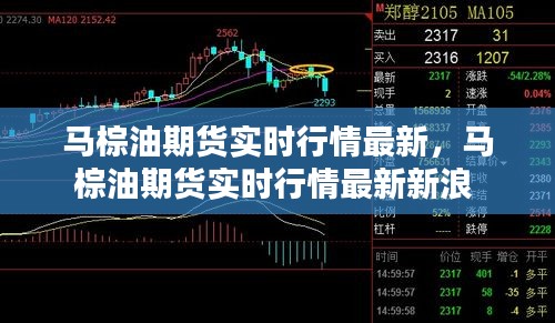 马棕油期货实时行情最新,马棕油期货实时行情最新新浪