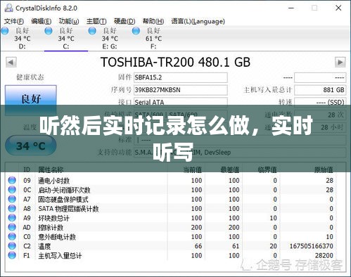 听然后实时记录怎么做,实时听写