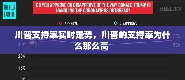 川普支持率实时走势,川普的支持率为什么那么高