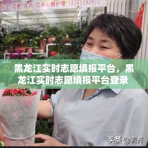 黑龙江实时志愿填报平台,黑龙江实时志愿填报平台登录