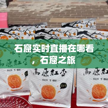 石窟实时直播在哪看,石窟之旅