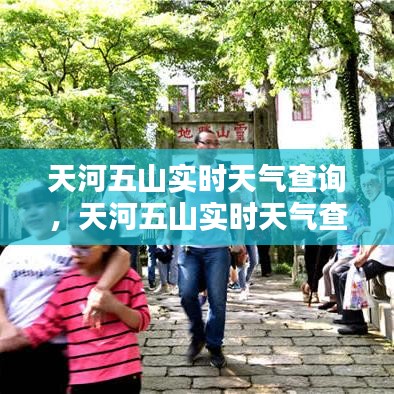天河五山实时天气查询,天河五山实时天气查询今天