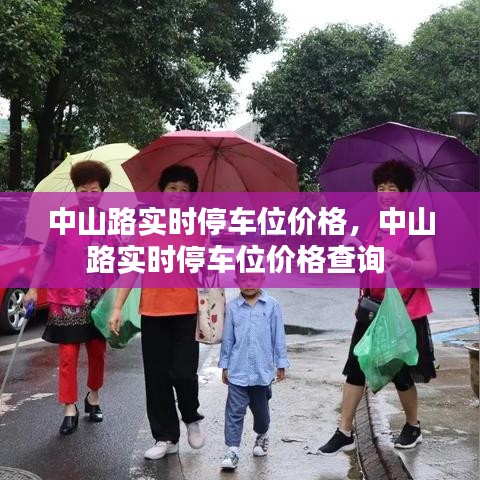 中山路实时停车位价格,中山路实时停车位价格查询