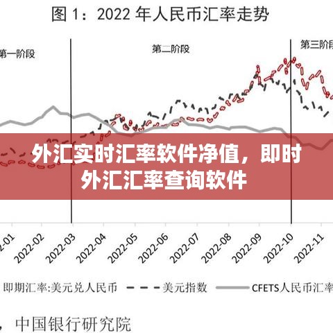 外汇实时汇率软件净值,即时外汇汇率查询软件