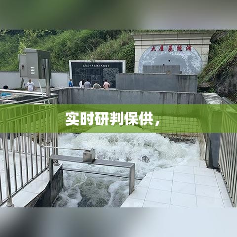 实时研判保供,