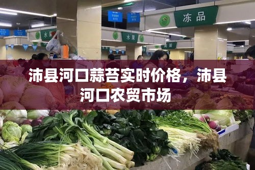沛县河口蒜苔实时价格,沛县河口农贸市场