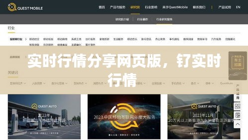 实时行情分享网页版,钌实时行情