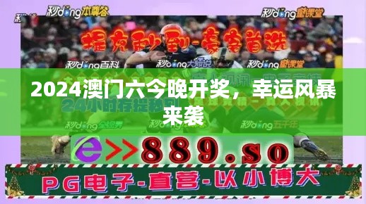 2024澳门六今晚开奖,幸运风暴来袭