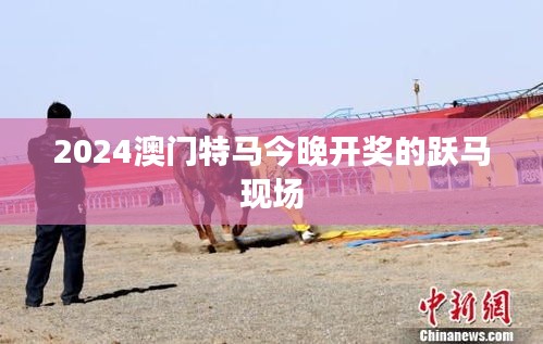 2024澳门特马今晚开奖的跃马现场