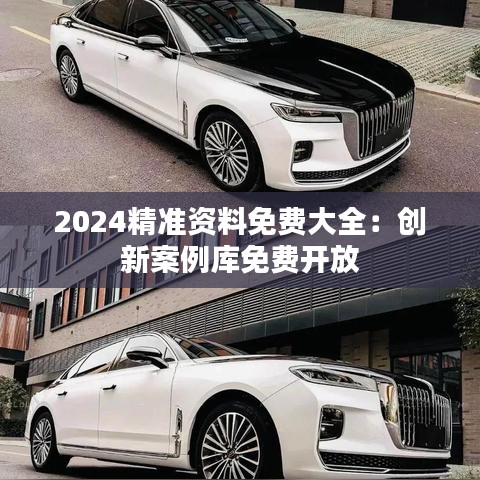 2024精准资料免费大全:创新案例库免费开放