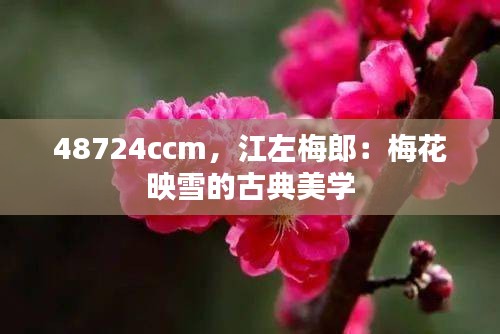 48724ccm,江左梅郎:梅花映雪的古典美学