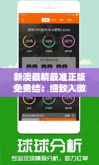 新澳最精最准正版免费结:细致入微的数据分析专家