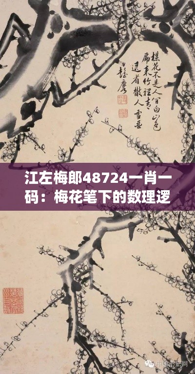 江左梅郎48724一肖一码:梅花笔下的数理逻辑