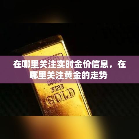 在哪里关注实时金价信息,在哪里关注黄金的走势