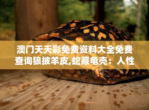 澳门天天彩免费资料大全免费查询狼披羊皮,蛇藏龟壳:人性伪装下的真我