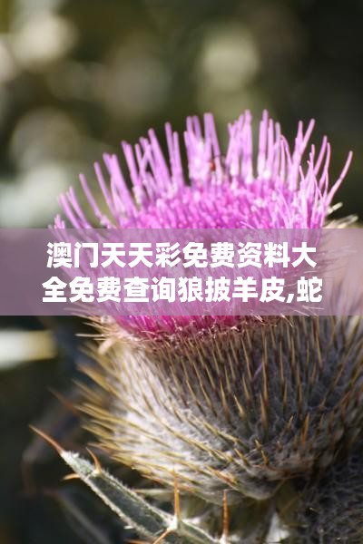 澳门天天彩免费资料大全免费查询狼披羊皮,蛇藏龟壳:面具后的复杂人性