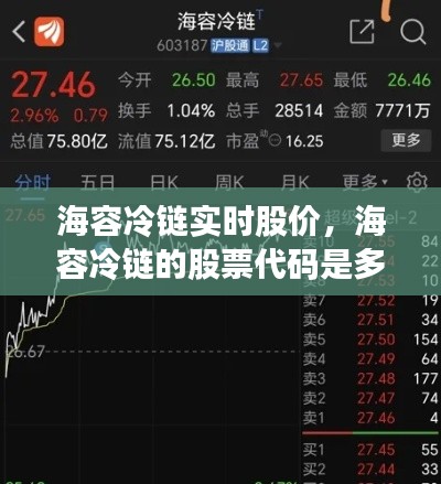 海容冷链实时股价,海容冷链的股票代码是多少