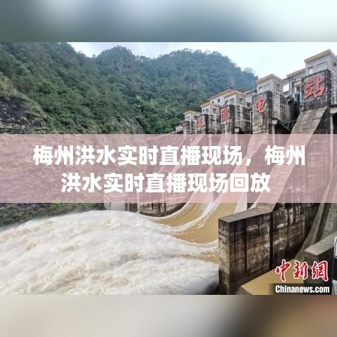 梅州洪水实时直播现场,梅州洪水实时直播现场回放