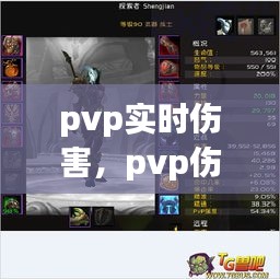 pvp实时伤害,pvp伤害和pve伤害