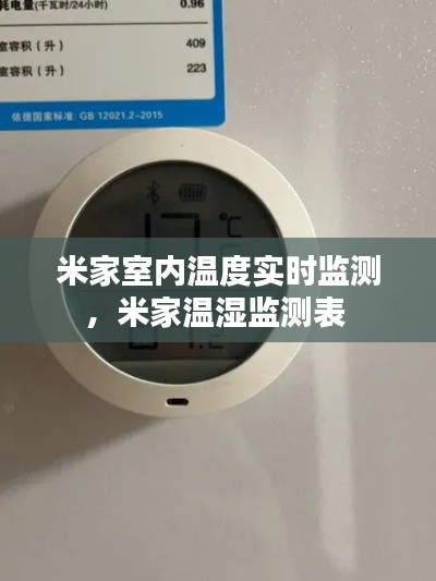 米家室内温度实时监测,米家温湿监测表