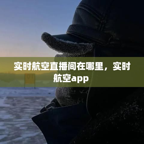 实时航空直播间在哪里,实时航空app