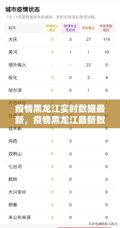疫情黑龙江实时数据最新,疫情黑龙江最新数据消息