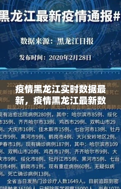 疫情黑龙江实时数据最新,疫情黑龙江最新数据消息
