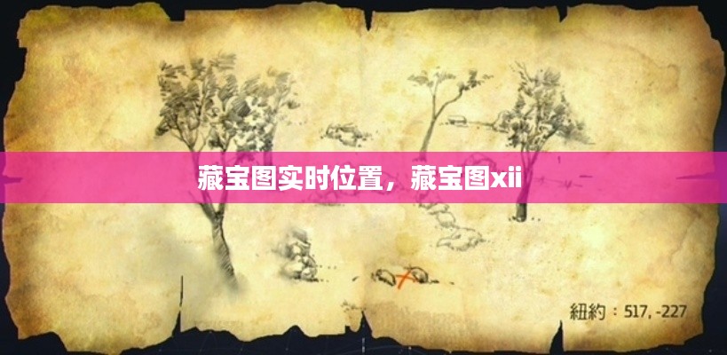 藏宝图实时位置,藏宝图xii