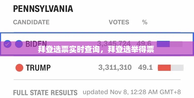 拜登选票实时查询,拜登选举得票
