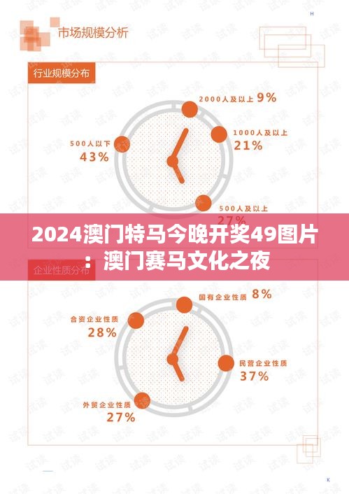 2024澳门特马今晚开奖49图片:澳门赛马文化之夜