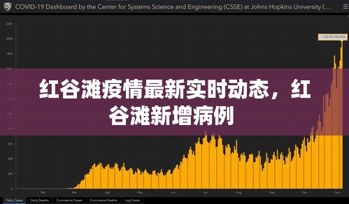 红谷滩疫情最新实时动态,红谷滩新增病例