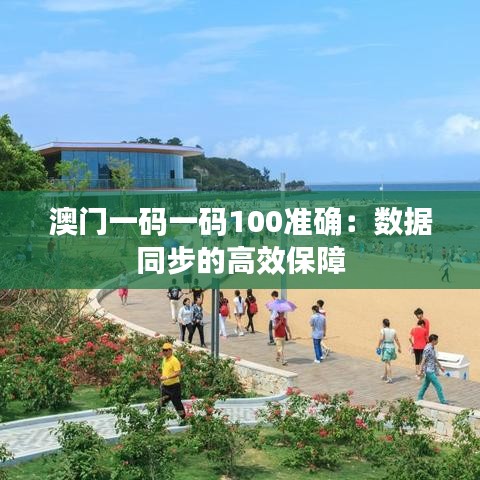 澳门一码一码100准确:数据同步的高效保障