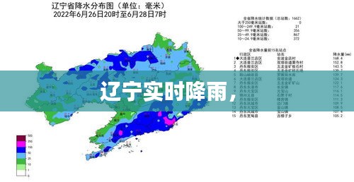 辽宁实时降雨,