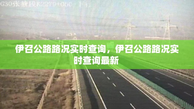 伊召公路路况实时查询,伊召公路路况实时查询最新
