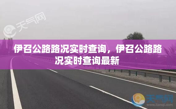 伊召公路路况实时查询,伊召公路路况实时查询最新