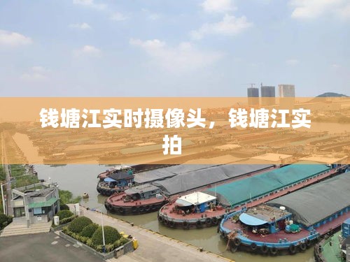 钱塘江实时摄像头,钱塘江实拍