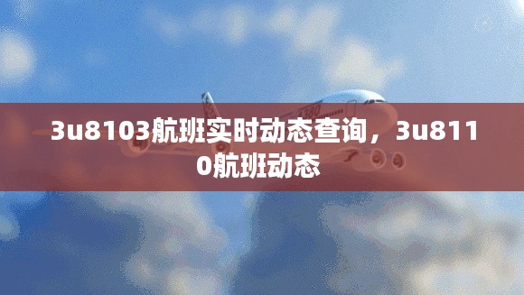 3u8103航班实时动态查询,3u8110航班动态